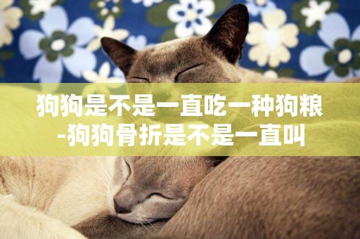 狗狗是不是一直吃一種狗糧-狗狗骨折是不是一直叫