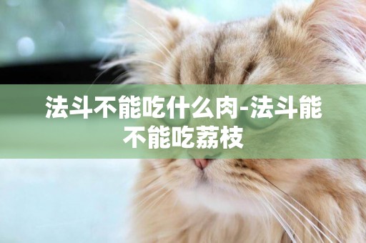 法斗不能吃什么肉-法斗能不能吃荔枝