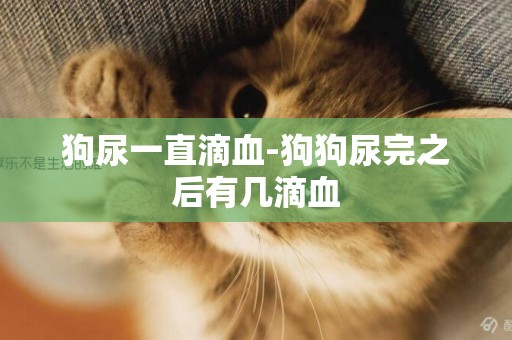 狗尿一直滴血-狗狗尿完之后有幾滴血