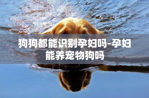 狗狗都能識別孕婦嗎-孕婦能養寵物狗嗎