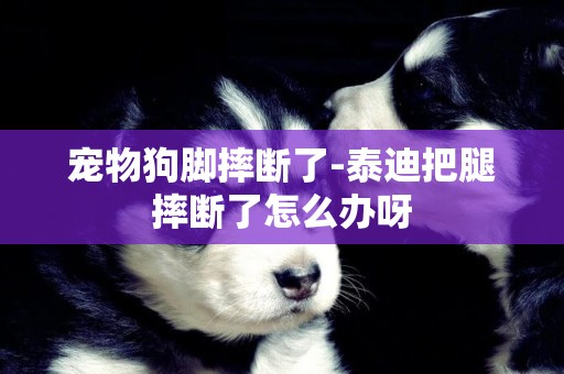 寵物狗腳摔斷了-泰迪把腿摔斷了怎么辦呀