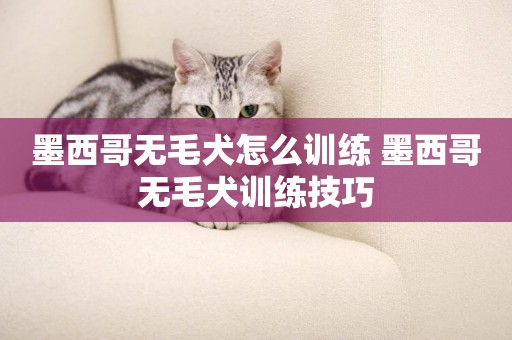 墨西哥無毛犬怎么訓練 墨西哥無毛犬訓練技巧