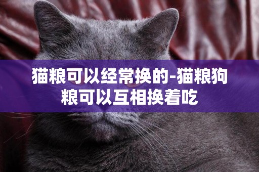 貓糧可以經常換的-貓糧狗糧可以互相換著吃