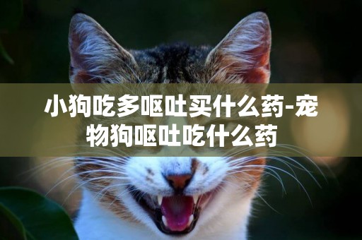 小狗吃多嘔吐買什么藥-寵物狗嘔吐吃什么藥