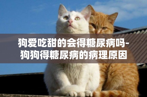 狗愛吃甜的會得糖尿病嗎-狗狗得糖尿病的病理原因