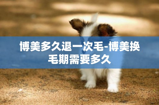博美多久退一次毛-博美換毛期需要多久