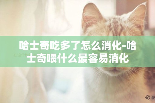 哈士奇吃多了怎么消化-哈士奇喂什么最容易消化