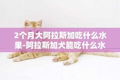 2個月大阿拉斯加吃什么水果-阿拉斯加犬能吃什么水果