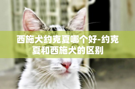 西施犬約克夏哪個好-約克夏和西施犬的區別