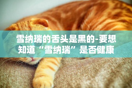 雪納瑞的舌頭是黑的-要想知道“雪納瑞”是否健康
