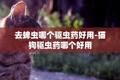 去蜱蟲哪個驅蟲藥好用-貓狗驅蟲藥哪個好用
