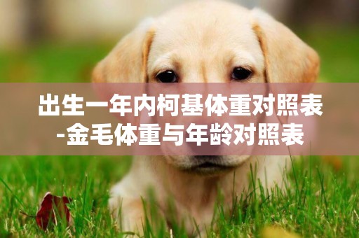出生一年內柯基體重對照表-金毛體重與年齡對照表