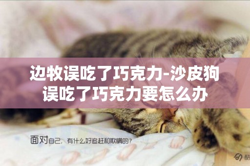 邊牧誤吃了巧克力-沙皮狗誤吃了巧克力要怎么辦