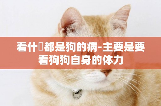 看什麼都是狗的病-主要是要看狗狗自身的體力