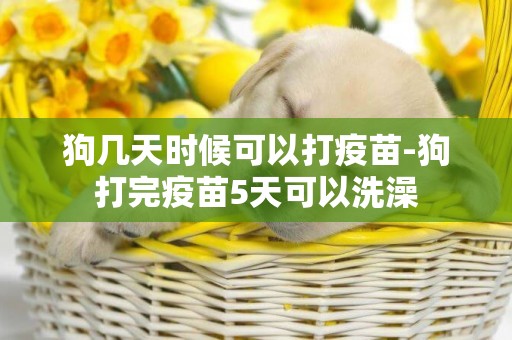 狗幾天時候可以打疫苗-狗打完疫苗5天可以洗澡