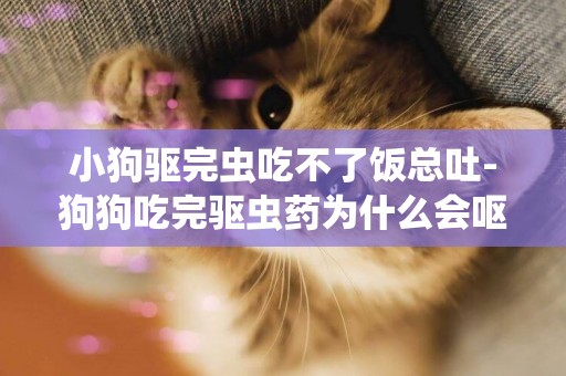 小狗驅完蟲吃不了飯總吐-狗狗吃完驅蟲藥為什么會嘔吐