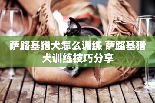 薩路基獵犬怎么訓練 薩路基獵犬訓練技巧分享
