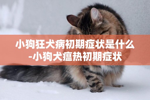 小狗狂犬病初期癥狀是什么-小狗犬瘟熱初期癥狀