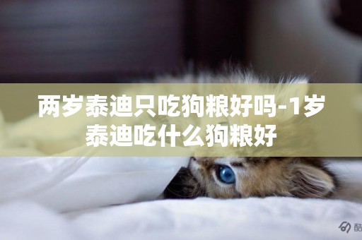 兩歲泰迪只吃狗糧好嗎-1歲泰迪吃什么狗糧好