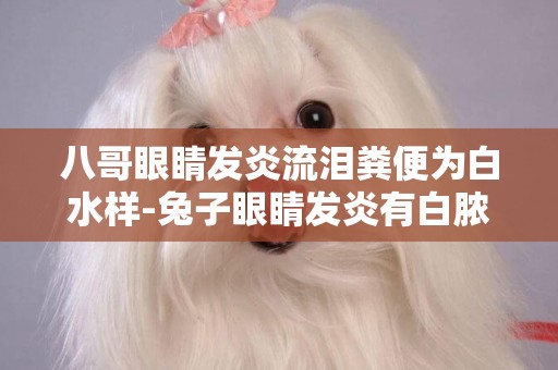 八哥眼睛發炎流淚糞便為白水樣-兔子眼睛發炎有白膿流眼淚