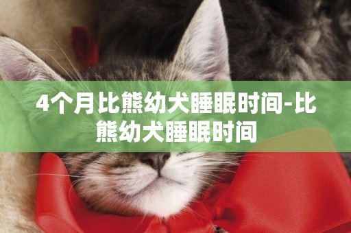 4個月比熊幼犬睡眠時間-比熊幼犬睡眠時間