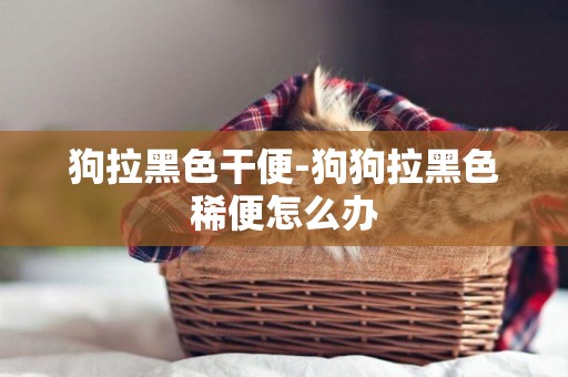 狗拉黑色干便-狗狗拉黑色稀便怎么辦