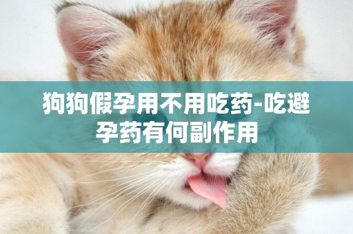狗狗假孕用不用吃藥-吃避孕藥有何副作用