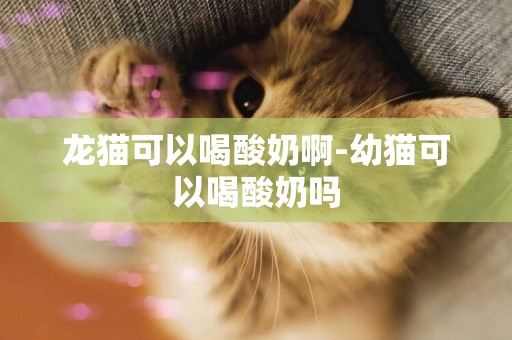 龍貓可以喝酸奶啊-幼貓可以喝酸奶嗎