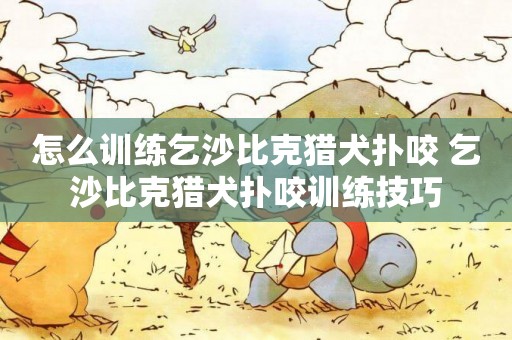 怎么訓練乞沙比克獵犬撲咬 乞沙比克獵犬撲咬訓練技巧