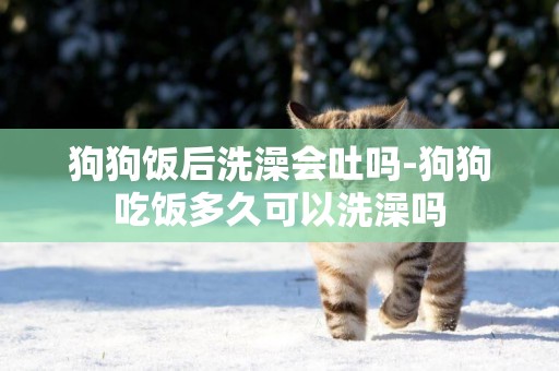 狗狗飯后洗澡會吐嗎-狗狗吃飯多久可以洗澡嗎