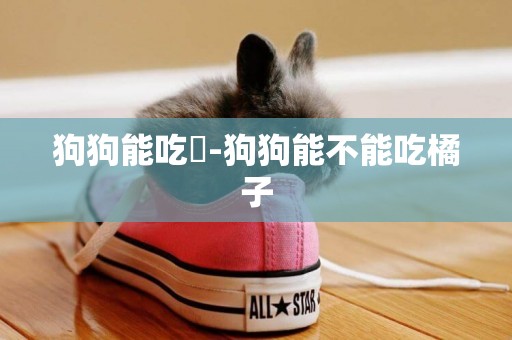狗狗能吃蝦-狗狗能不能吃橘子