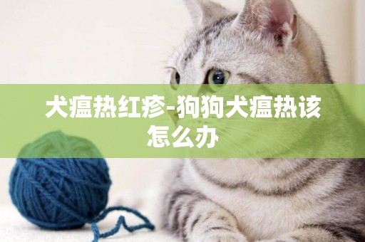 犬瘟熱紅疹-狗狗犬瘟熱該怎么辦