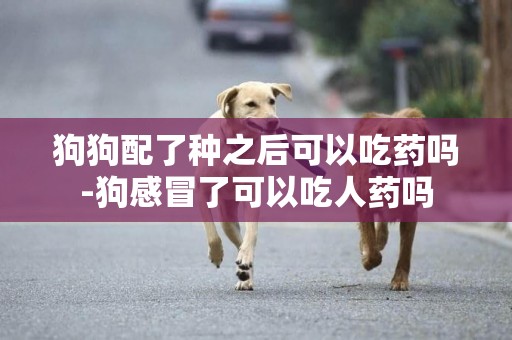 狗狗配了種之后可以吃藥嗎-狗感冒了可以吃人藥嗎