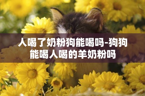 人喝了奶粉狗能喝嗎-狗狗能喝人喝的羊奶粉嗎