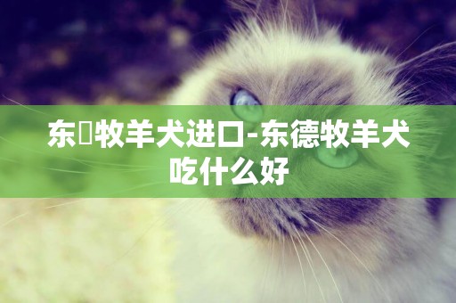 東徳牧羊犬進口-東德牧羊犬吃什么好