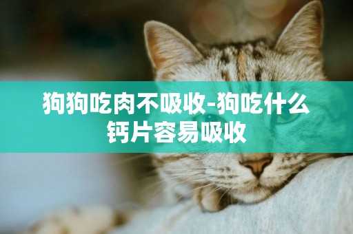 狗狗吃肉不吸收-狗吃什么鈣片容易吸收