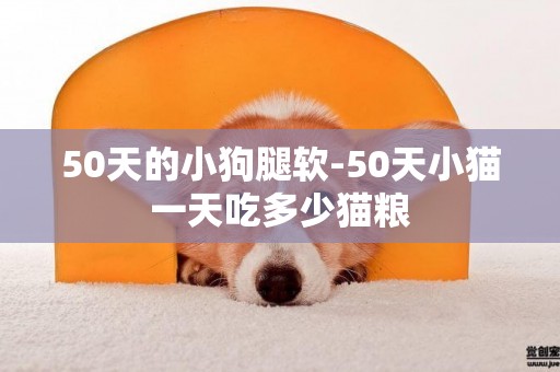 50天的小狗腿軟-50天小貓一天吃多少貓糧
