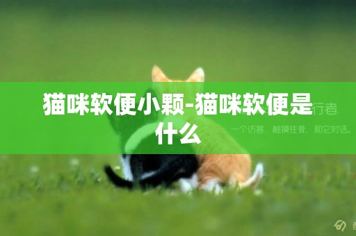 貓咪軟便小顆-貓咪軟便是什么