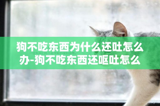 狗不吃東西為什么還吐怎么辦-狗不吃東西還嘔吐怎么辦