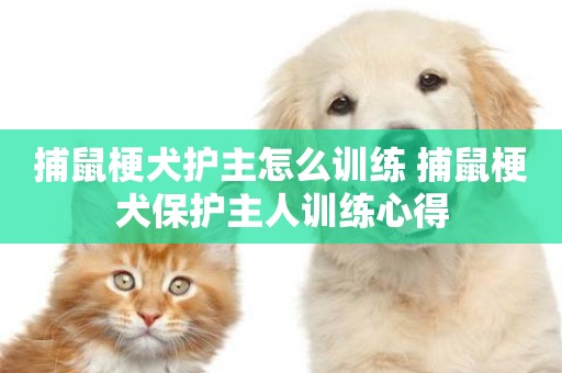 捕鼠梗犬護主怎么訓練 捕鼠梗犬保護主人訓練心得