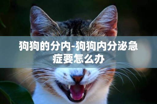 狗狗的分內-狗狗內分泌急癥要怎么辦