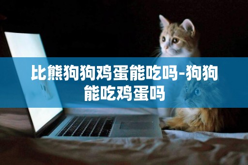 比熊狗狗雞蛋能吃嗎-狗狗能吃雞蛋嗎