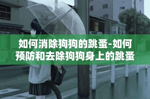 如何消除狗狗的跳蚤-如何預防和去除狗狗身上的跳蚤