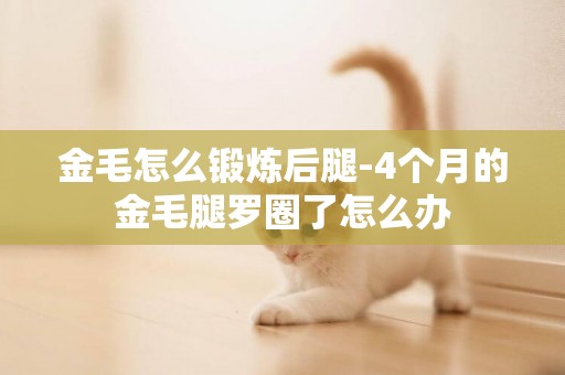 金毛怎么鍛煉后腿-4個月的金毛腿羅圈了怎么辦