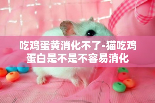 吃雞蛋黃消化不了-貓吃雞蛋白是不是不容易消化