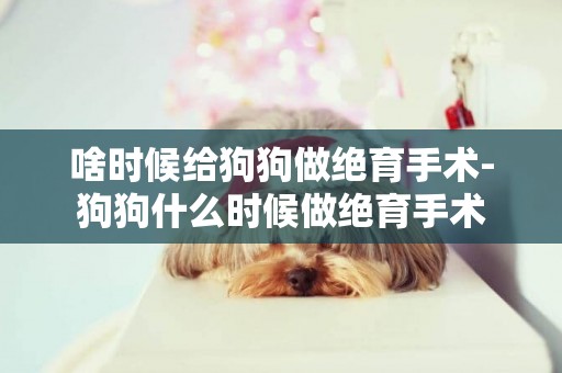 啥時候給狗狗做絕育手術-狗狗什么時候做絕育手術