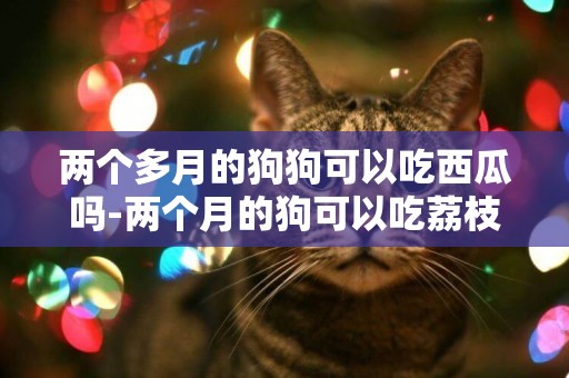 兩個多月的狗狗可以吃西瓜嗎-兩個月的狗可以吃荔枝嗎