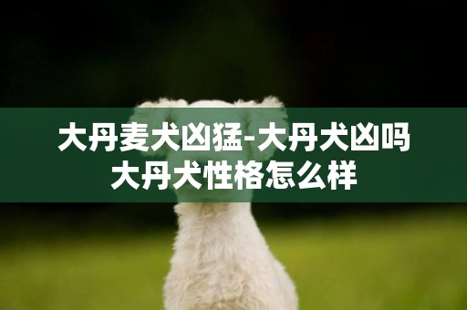 大丹麥犬兇猛-大丹犬兇嗎大丹犬性格怎么樣