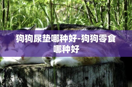狗狗尿墊哪種好-狗狗零食哪種好
