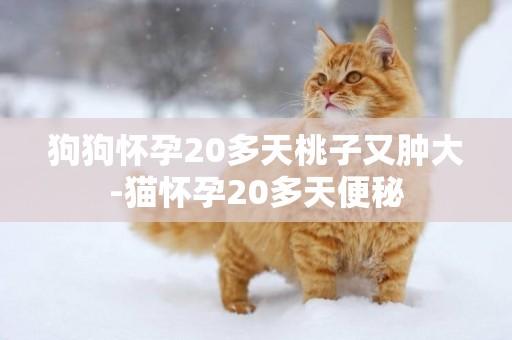 狗狗懷孕20多天桃子又腫大-貓懷孕20多天便秘